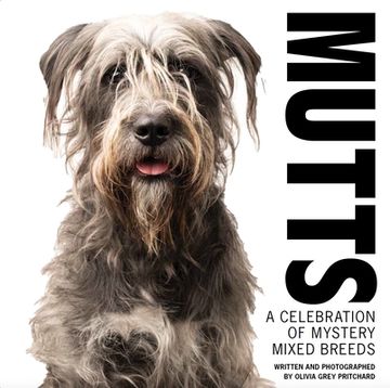 portada Mutts: A Celebration of Mystery Mixed Breeds (in English)