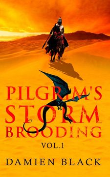 portada Pilgrim's Storm Brooding Volume 1: A Dark Fantasy Epic (Broken Stone Chronicle) (en Inglés)