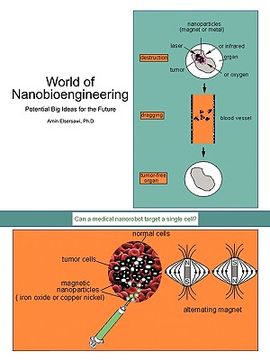 portada world of nanobioengineering