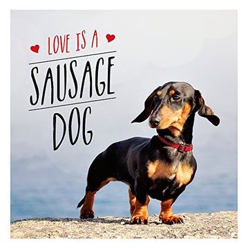 portada Love is a Sausage Dog (Gift Book)