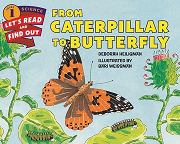 portada From Caterpillar To Butterfly (lets-read-and-find-out Science Stage 1) (en Inglés)