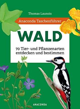 portada Anaconda Taschenführer Wald: 70 Tier- und Pflanzenarten Entdecken und Bestimmen (en Alemán)