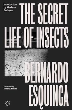 portada Secret Life of Insects, the (en Inglés)