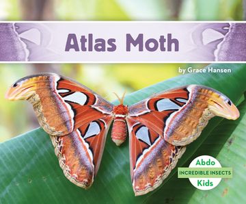 portada Atlas Moth (en Inglés)