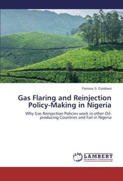 portada Gas Flaring and Reinjection Policy-Making in Nigeria
