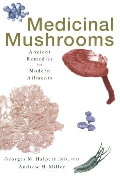portada Medicinal Mushrooms: Ancient Remedies for Modern Ailments (en Inglés)