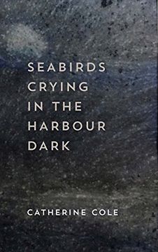 portada Seabirds Crying in the Harbour Dark