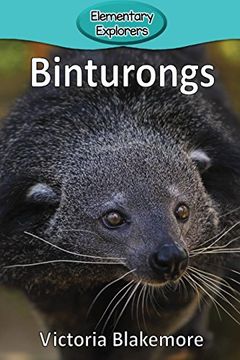portada Binturongs (Elementary Explorers) (en Inglés)