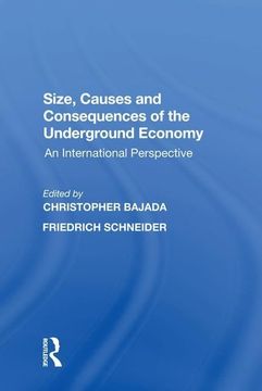 portada Size, Causes and Consequences of the Underground Economy: An International Perspective