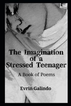 portada The Imagination of a Stressed Teenager: A Book of Poems (in English)
