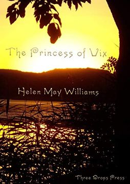 portada The Princess of vix 