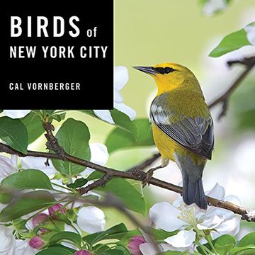 portada Birds of New York City
