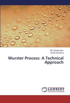 portada Wurster Process: A Technical Approach