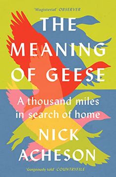 portada The Meaning of Geese: A Thousand Miles in Search of Home