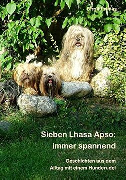 portada Sieben Lhasa Apso: immer spannend (German Edition)
