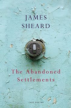 portada The Abandoned Settlements (en Inglés)