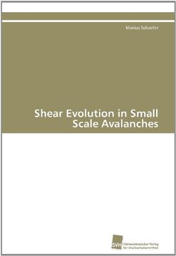 portada Shear Evolution in Small Scale Avalanches