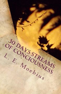 portada 30 Days-Streams of Conciousness (Streams of Consciousness) (Volume 1)