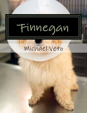 portada Finnegan: Volume 1 (Fiinegan)
