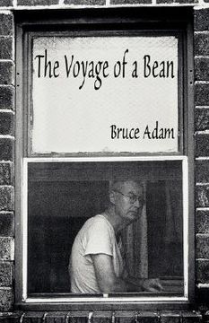 portada the voyage of a bean (en Inglés)