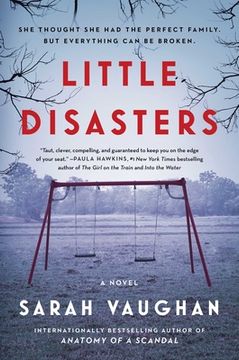 portada Little Disasters