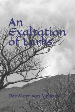 portada An Exaltation of Larks: Book 3 Crone (en Inglés)