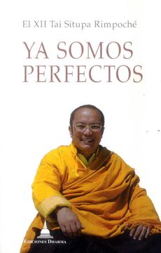 portada Ya Somos Perfectos (in Spanish)