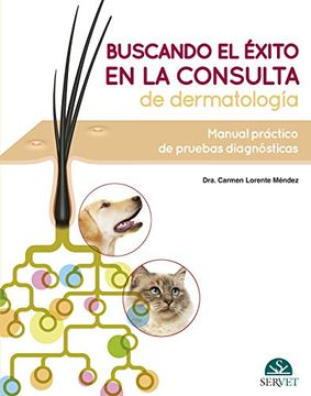 portada Buscando el Éxito en la Consulta de Dermatología: Manual Práctico de Pruebas Diagnósticas