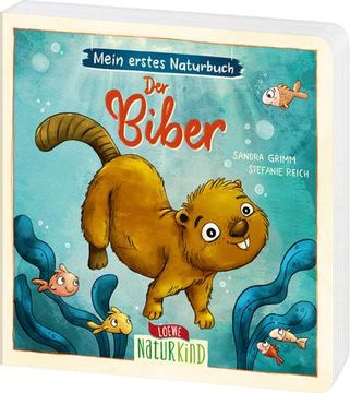 portada Mein Erstes Naturbuch - der Biber (in German)
