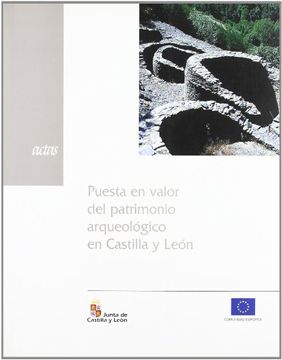 portada Puesta en valor del patrimonio arqueológico en Castilla y León (in Spanish)