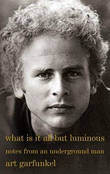 portada What is it all but Luminous: Notes From an Underground man (in English)