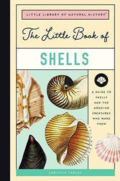 portada The Little Book of Shells: A Guide to Shells and the Amazing Creatures who Make Them: 5 (The Little Library of Natural History) (in English)