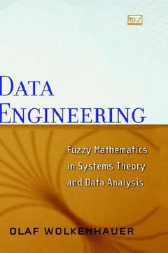 portada data engineering: fuzzy mathematics in systems theory & data analysis (in English)