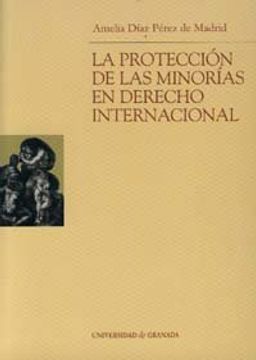 portada La protección de las minorias en Derecho Internacional (Monográfica / Biblioteca de Ciencias Jurídicas)