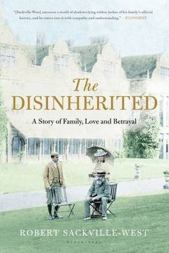 portada The Disinherited: A Story of Family, Love and Betrayal