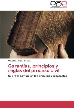 portada Garantías, Principios y Reglas del Proceso Civil: Sobre el Cambio en los Principios Procesales (in Spanish)