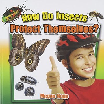portada How do Insects Protect Themselves? - Insects Close-Up (in English)