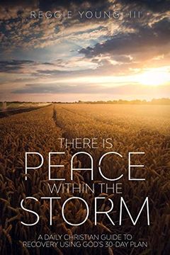 portada There is Peace Within the Storm: A Daily Christian Guide to Recovery Using God's 30-Day Plan 