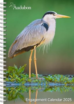 portada Audubon Engagement Calendar 2025: A Tribute to the Wilderness and its Spectacular Landscapes (en Inglés)