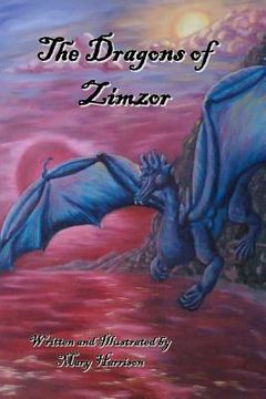 portada the dragons of zimzor (en Inglés)