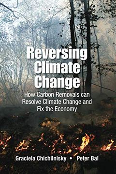 portada Reversing Climate Change: How Carbon Removals can Resolve Climate Change and fix the Economy (Environmental Energy Economics) (en Inglés)