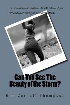 portada Can You See The Beauty of the Storm?