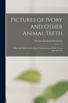 portada Pictures of Ivory and Other Animal Teeth: Bone and Antler; With a Brief Commentary on Their Use on Identification (en Inglés)
