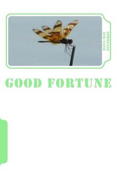 portada Good Fortune (en Inglés)