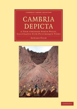 portada Cambria Depicta (Cambridge Library Collection - art and Architecture) (in English)