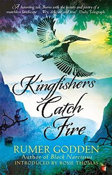 portada Kingfishers Catch Fire: A Virago Modern Classic (Virago Modern Classics)