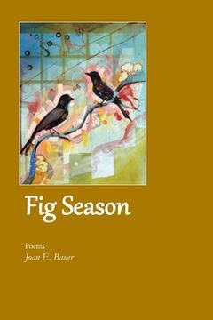 portada Fig Season (en Inglés)