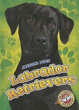 portada Labrador Retrievers (Awesome Dogs: Blastoff Readers: Level 2) (in English)