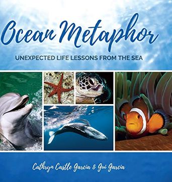 portada Ocean Metaphor: Unexpected Life Lessons From the sea (en Inglés)