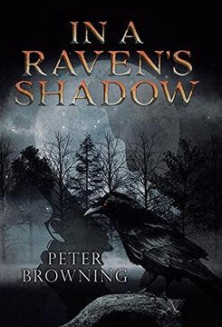 portada In a Raven'S Shadow (en Inglés)